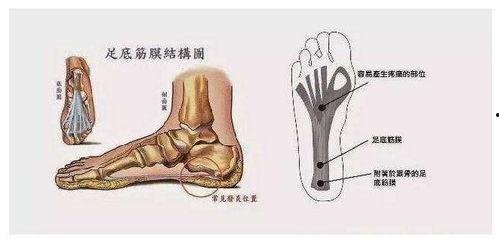 脚底照片,从照片中探寻健康与生活的微妙联系”